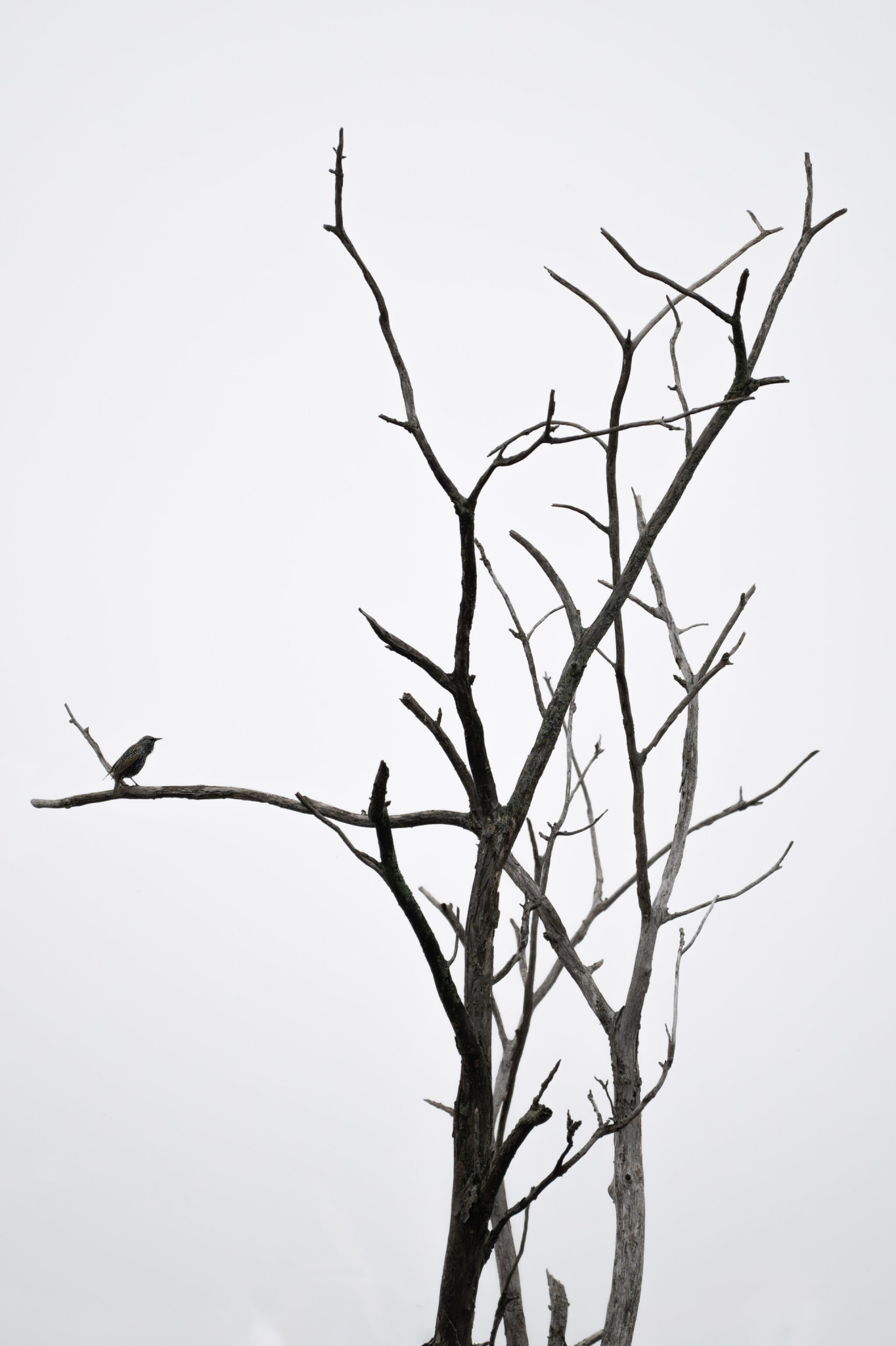 _GPW4754-Enhanced-NR-Edit.jpg