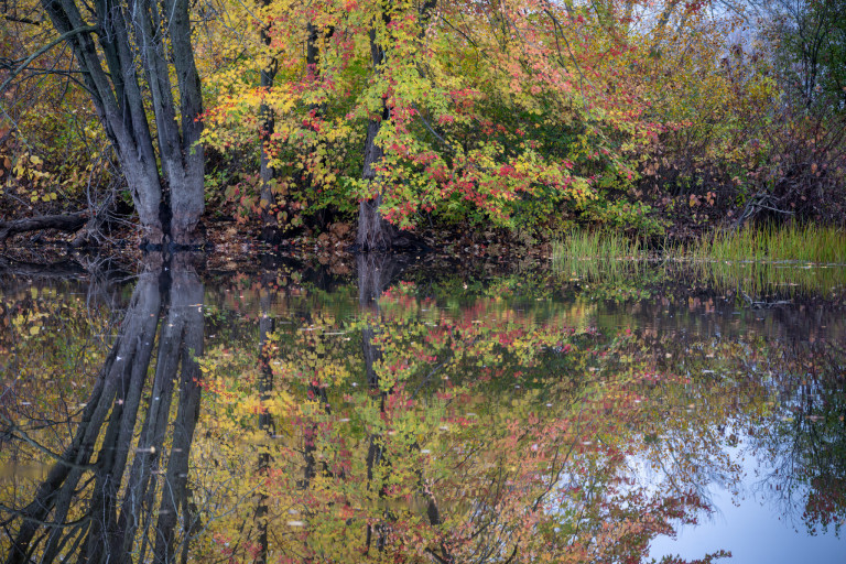 _GPW4671-Enhanced-NR.jpg
