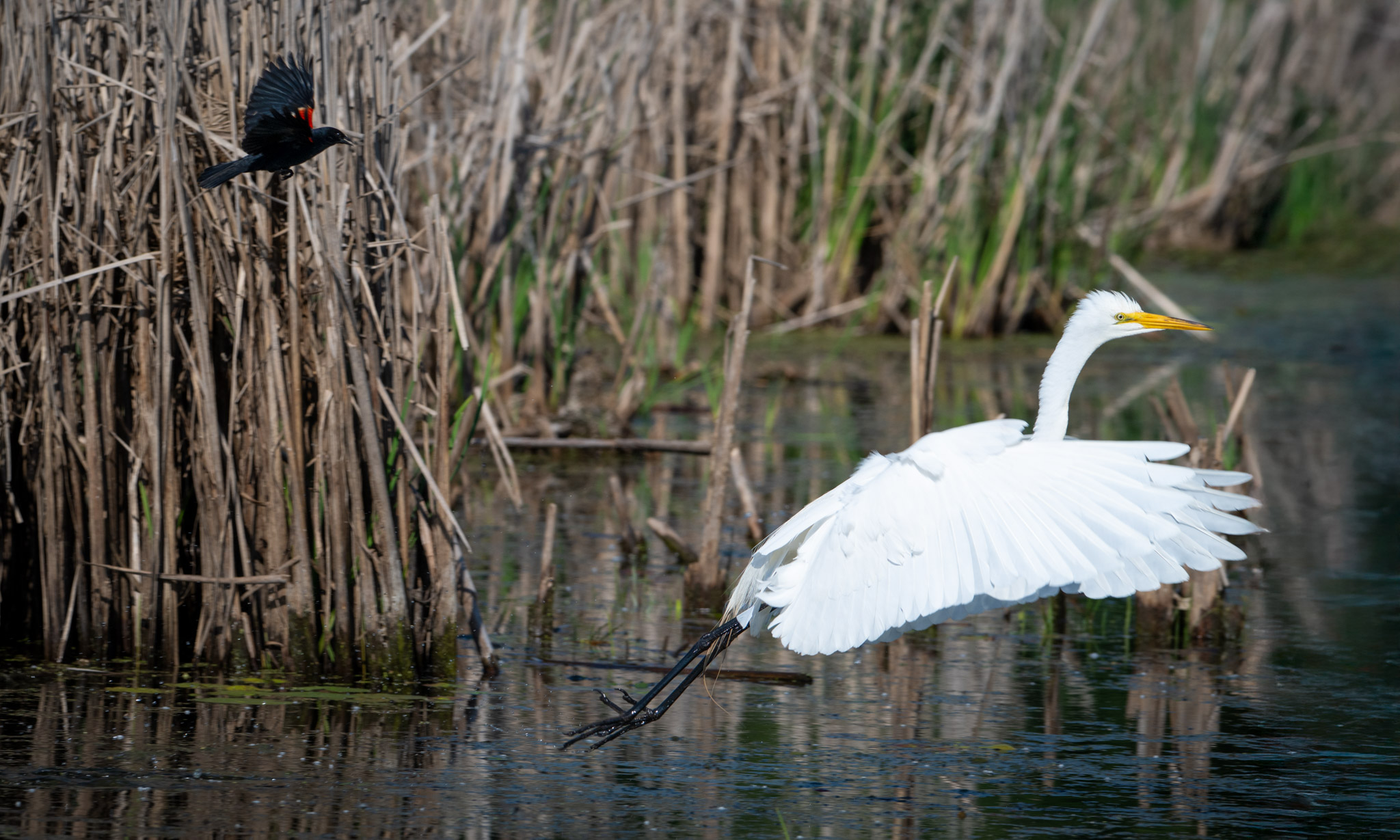 _GPW5795-Edit.jpg