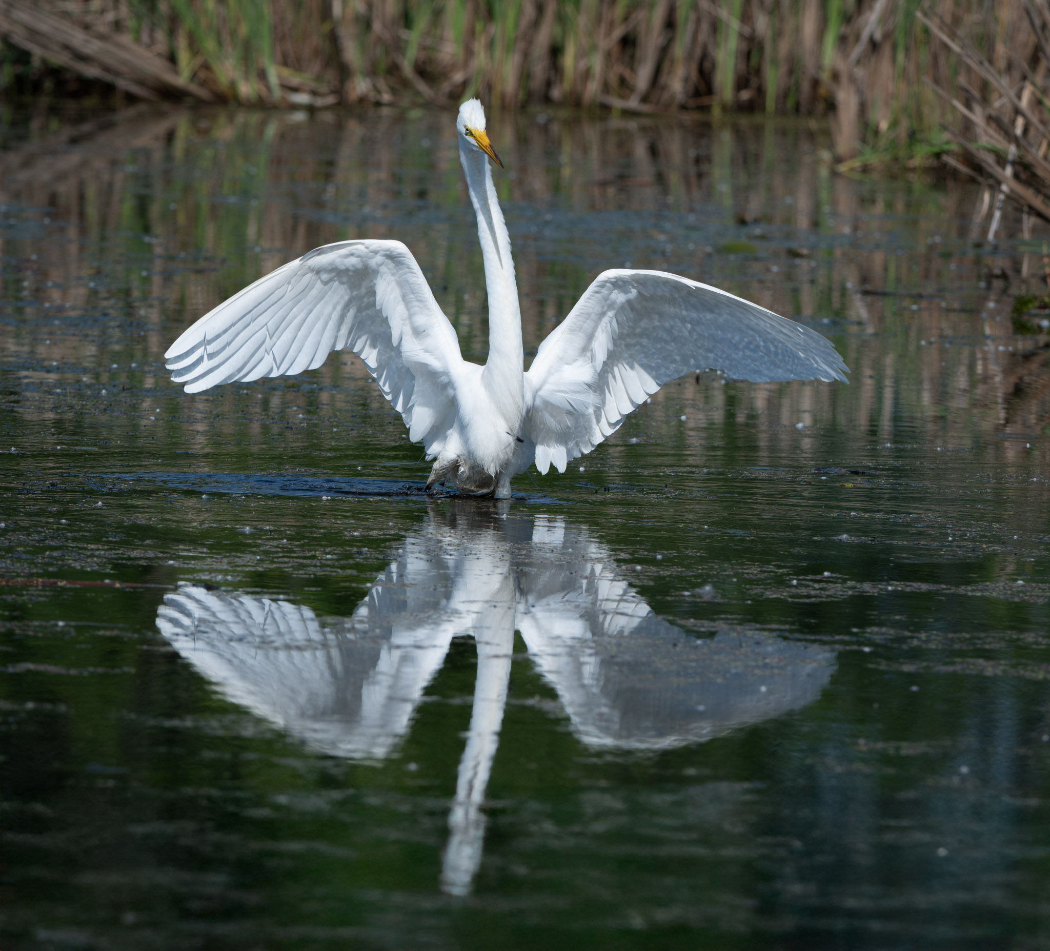 _GPW5819-Edit.jpg