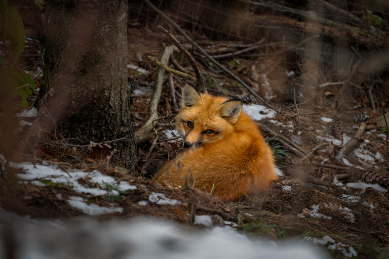 _GPW5388-Enhanced-NR-Edit.jpg