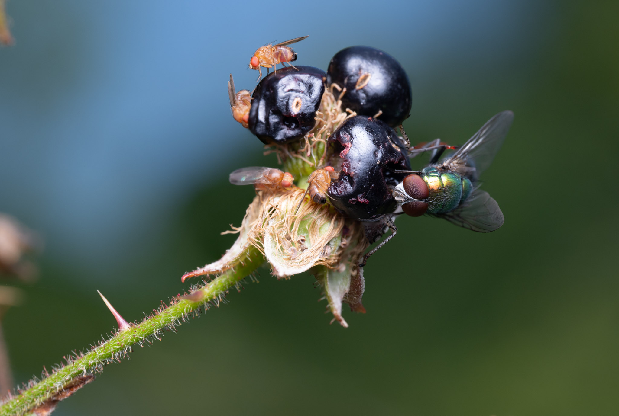 _GPW4561-Edit.jpg