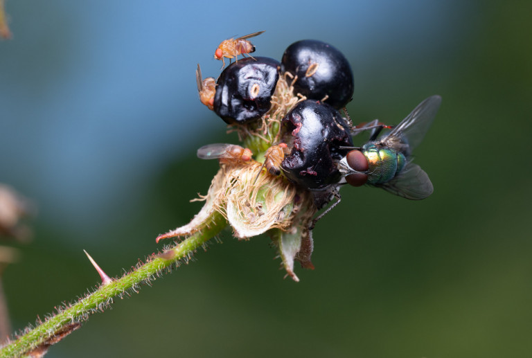 _GPW4561-Edit.jpg